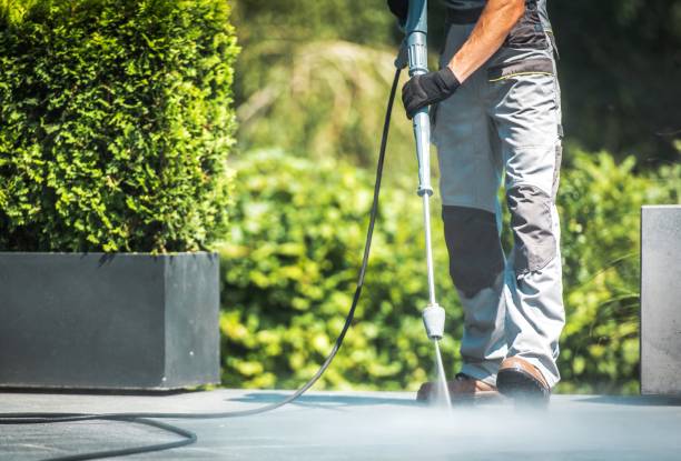 Best Sidewalk and Walkway Cleaning  in Cloverdale, IN